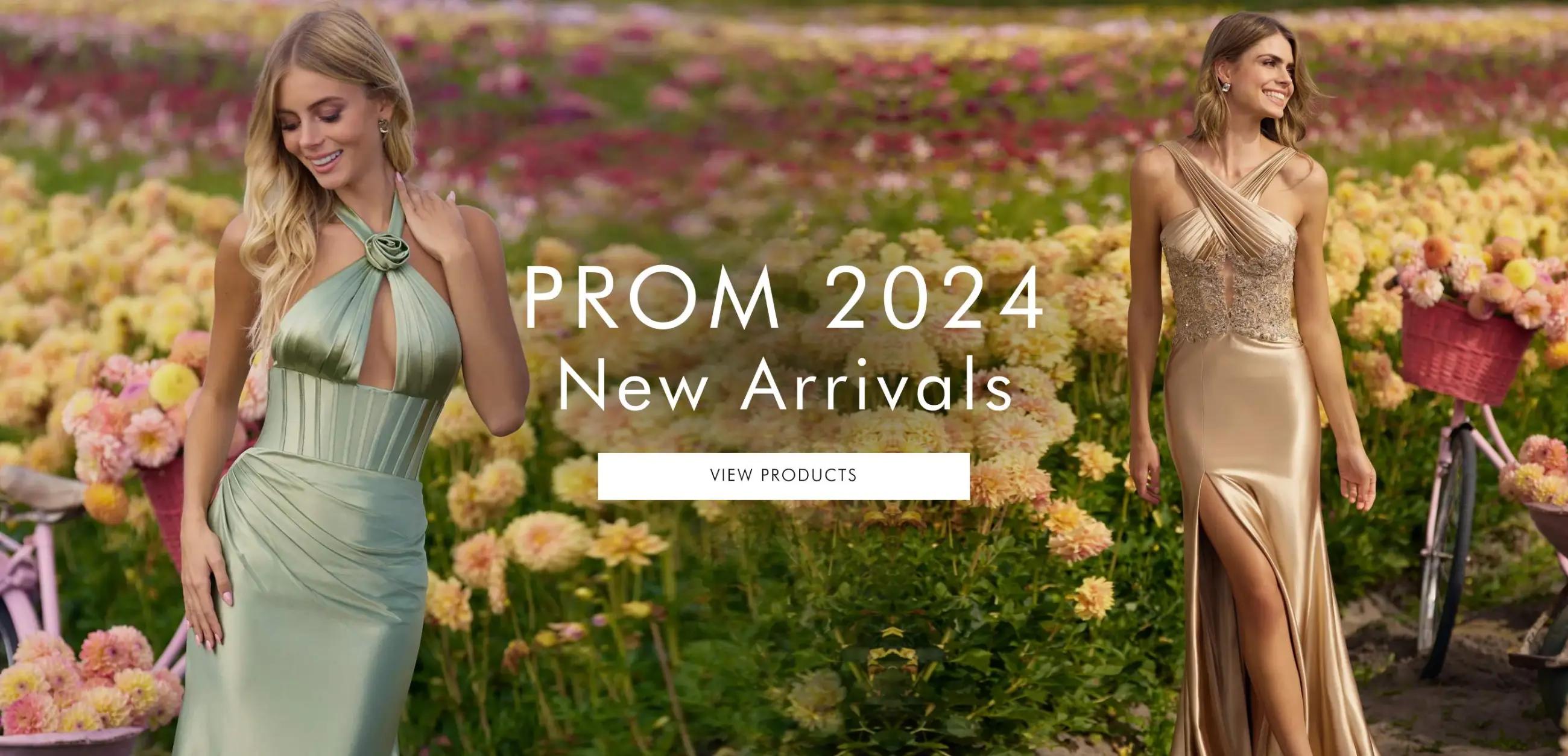 Prom 2024 banner desktop