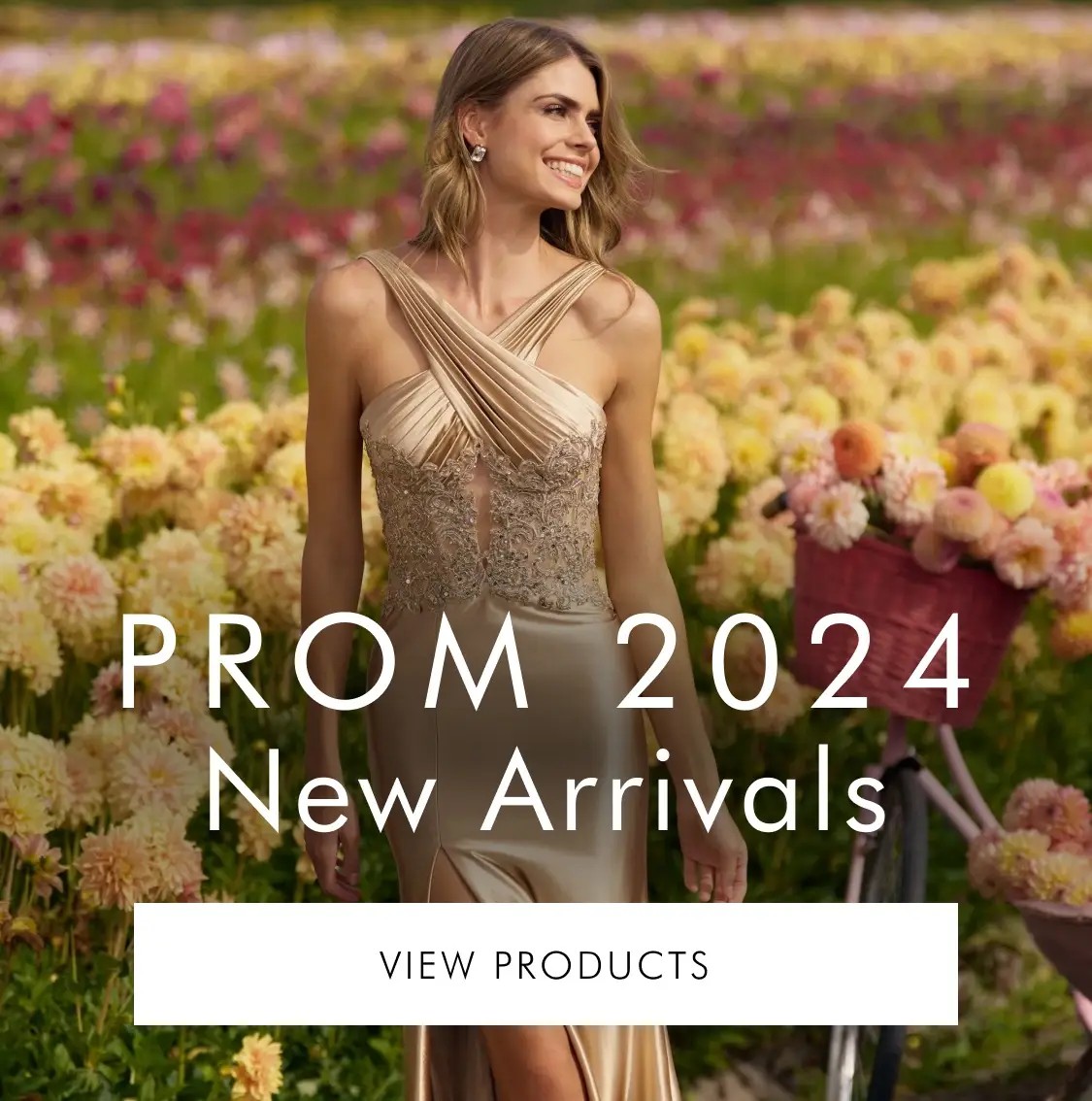 Prom 2024 banner mobile